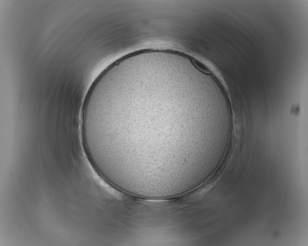 X0000111041343200907091600