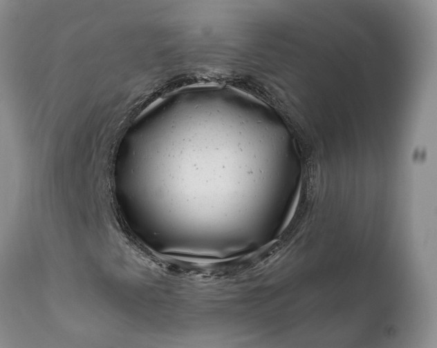 X0000111041345200907091559