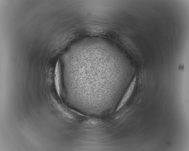 X0000111041346200907091559