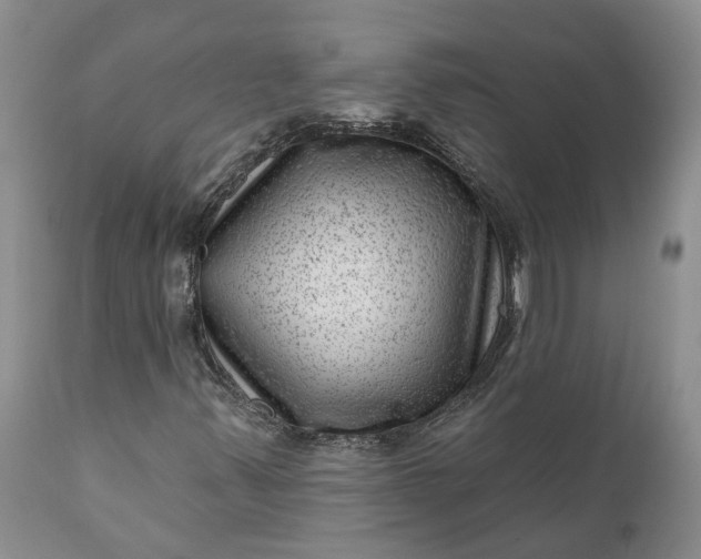 X0000111041347200907091559