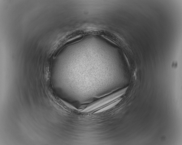 X0000111041348200907091559