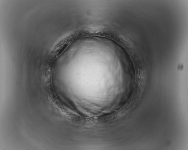 X0000111041349200907091559