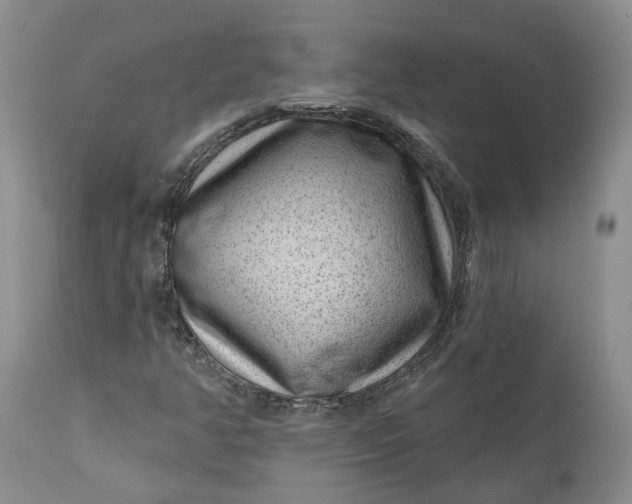 X0000111041350200907091559