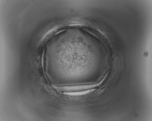 X0000111041351200907091559