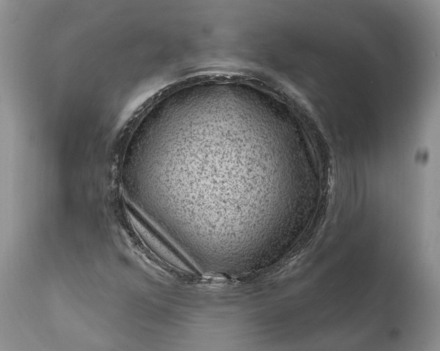 X0000111041352200907091559