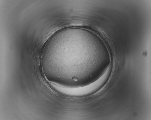 X0000111041353200907091559