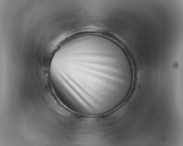 X0000111041355200907091559