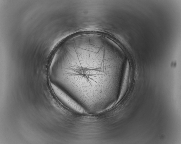 X0000111041356200907091559