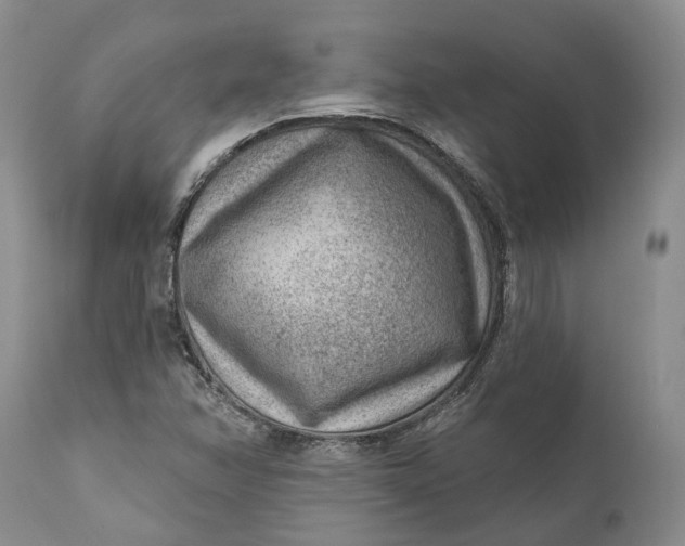 X0000111041358200907091559