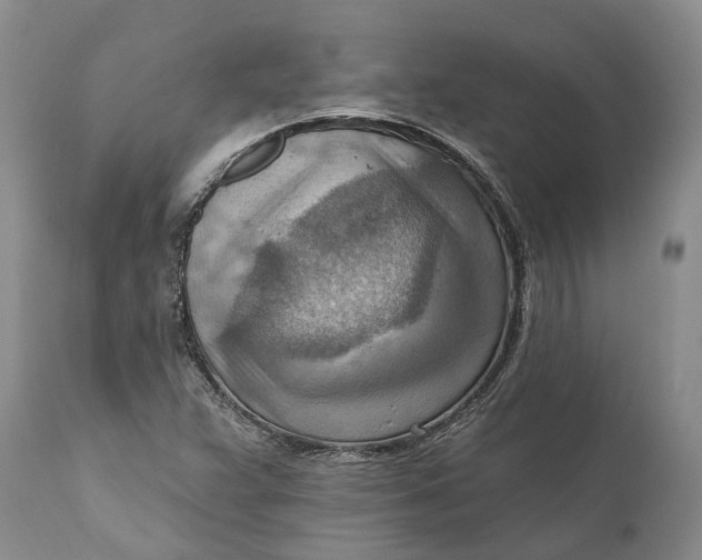 X0000111041359200907091559