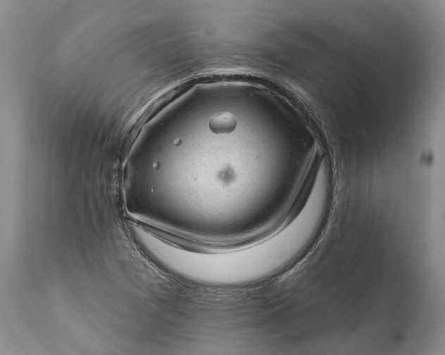 X0000111041361200907091559