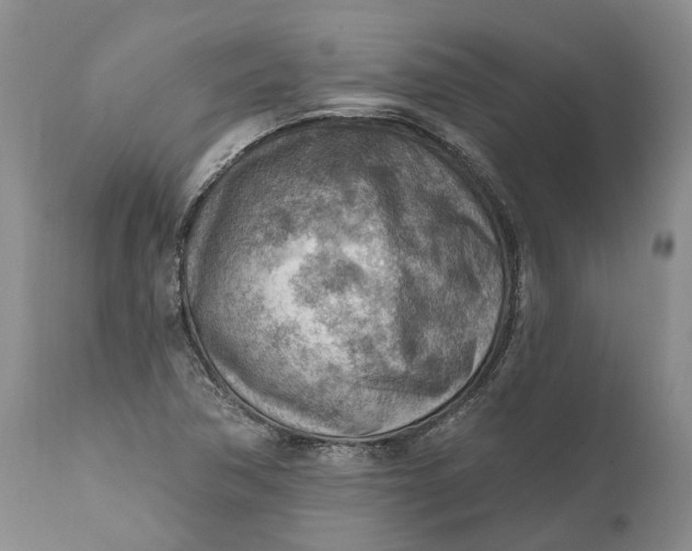 X0000111041362200907091559