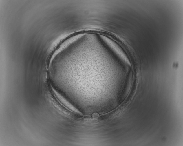 X0000111041363200907091559