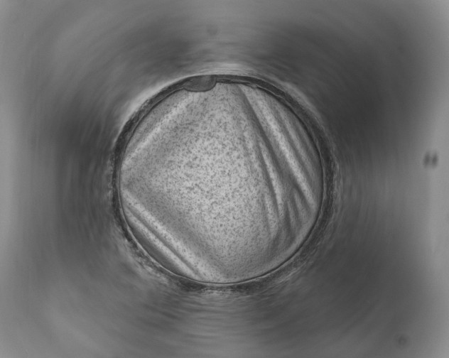 X0000111041364200907091559