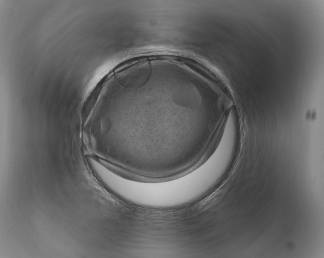 X0000111041365200907091559