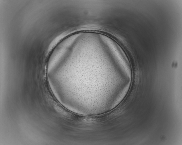 X0000111041366200907091559