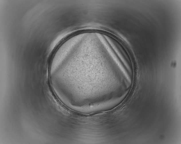 X0000111041368200907091559