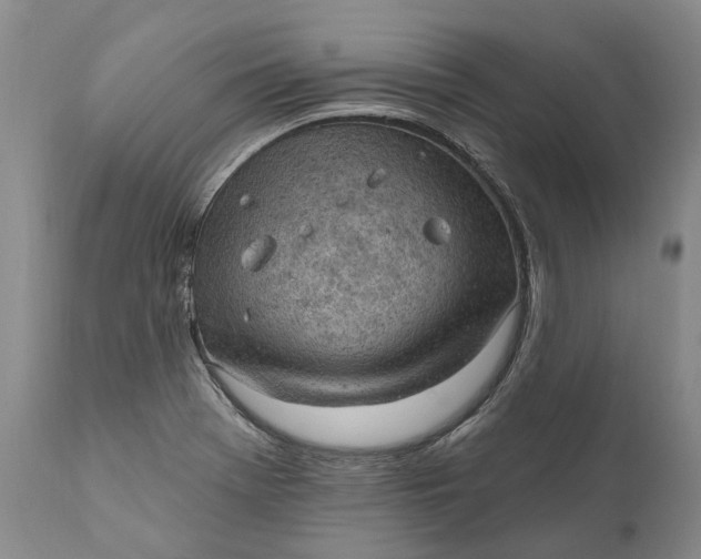 X0000111041369200907091559