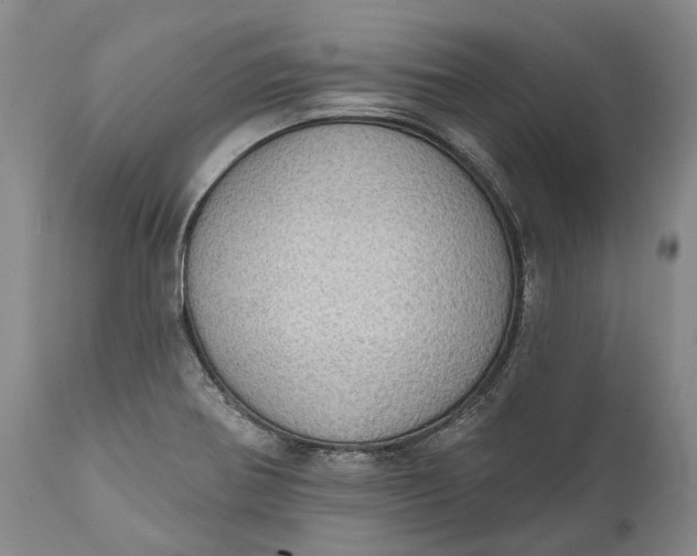 X0000111041370200907091558