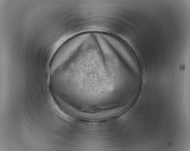 X0000111041371200907091558