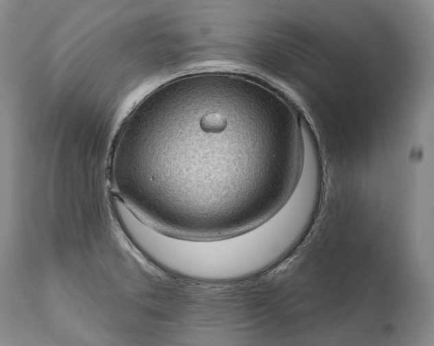 X0000111041373200907091558