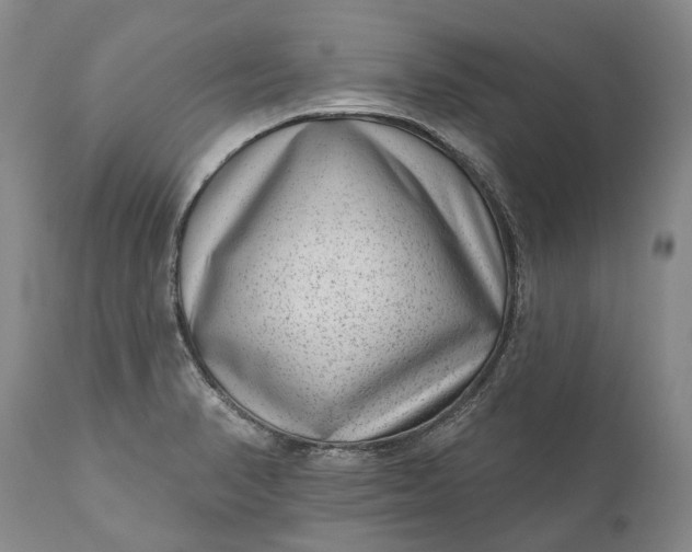 X0000111041374200907091558