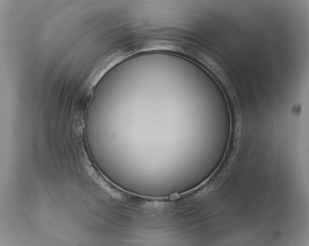 X0000111041377200907091558