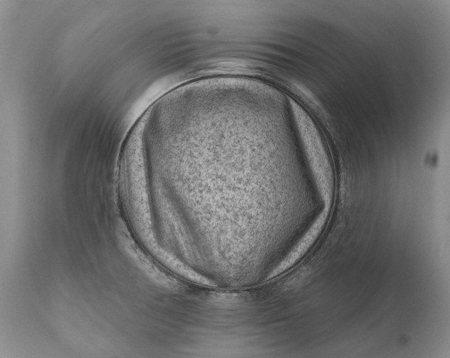 X0000111041378200907091558