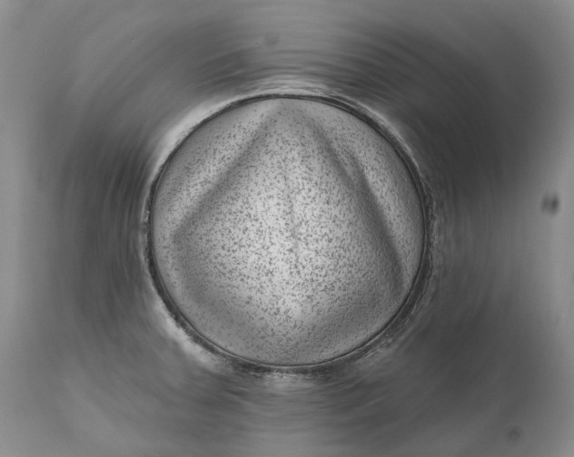 X0000111041379200907091558