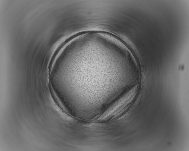 X0000111041380200907091558