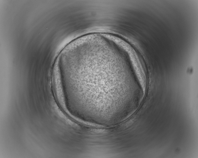 X0000111041382200907091558