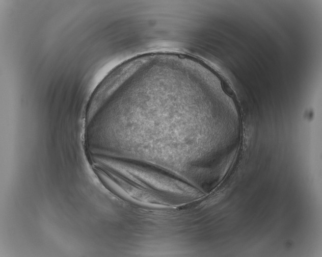 X0000111041383200907091558