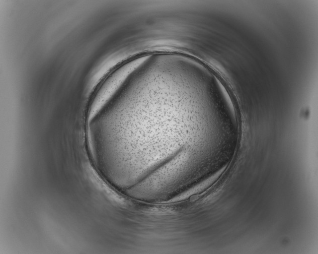 X0000111041384200907091558