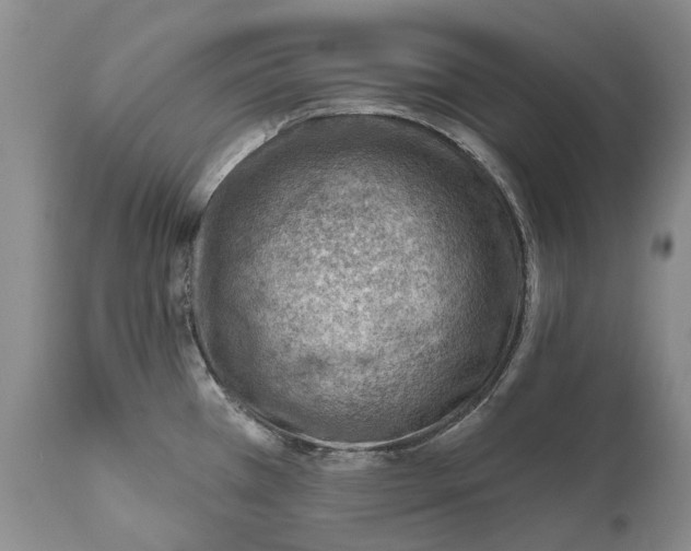 X0000111041385200907091558