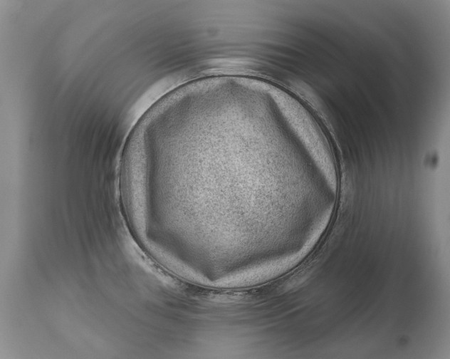 X0000111041386200907091558