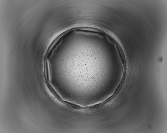 X0000111041388200907091558