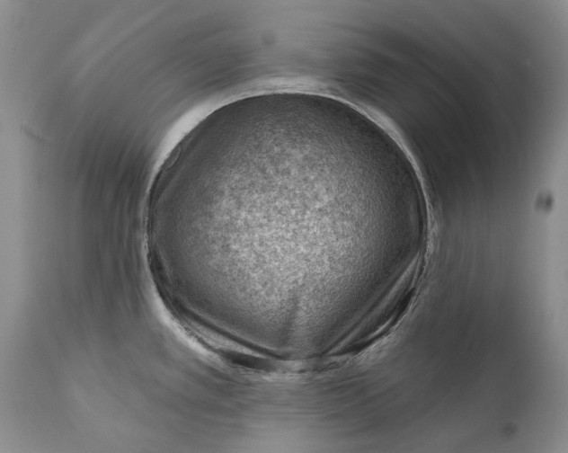 X0000111041389200907091558