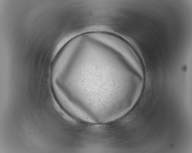 X0000111041390200907091558