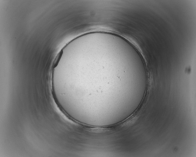 X0000111041391200907091558