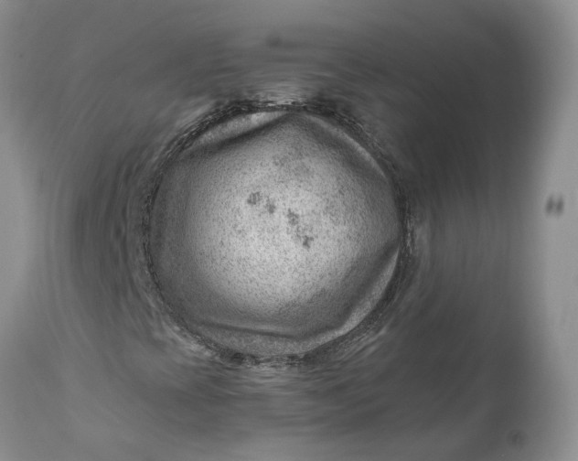 X0000111041393200907091558