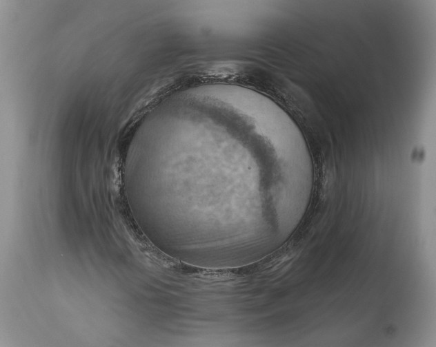 X0000111041394200907091558