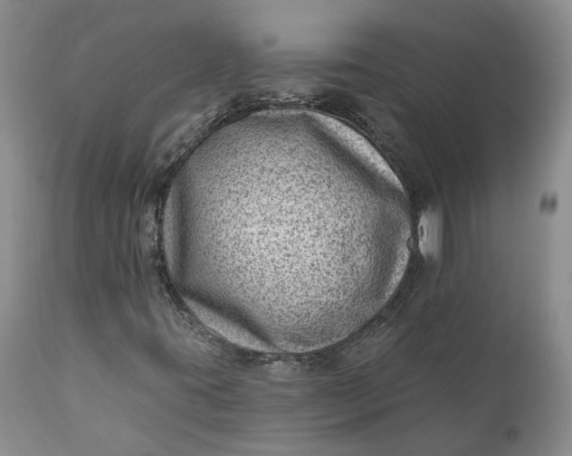 X0000111041395200907091558