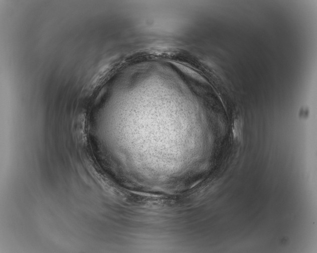 X0000111041396200907091558