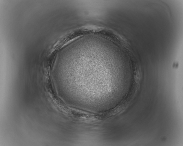 X0000111041397200907091558