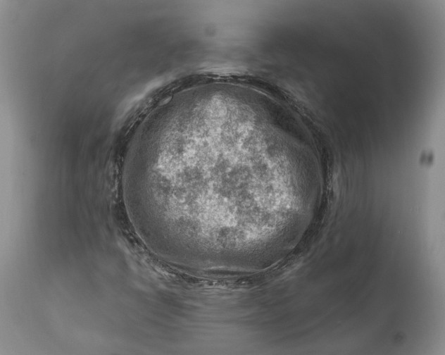 X0000111041398200907091558