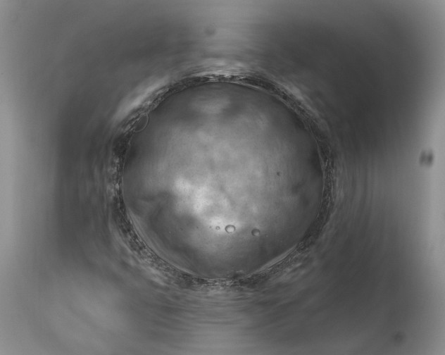 X0000111041399200907091558