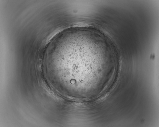 X0000111041401200907091558