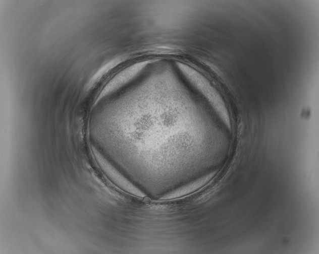 X0000111041402200907091558