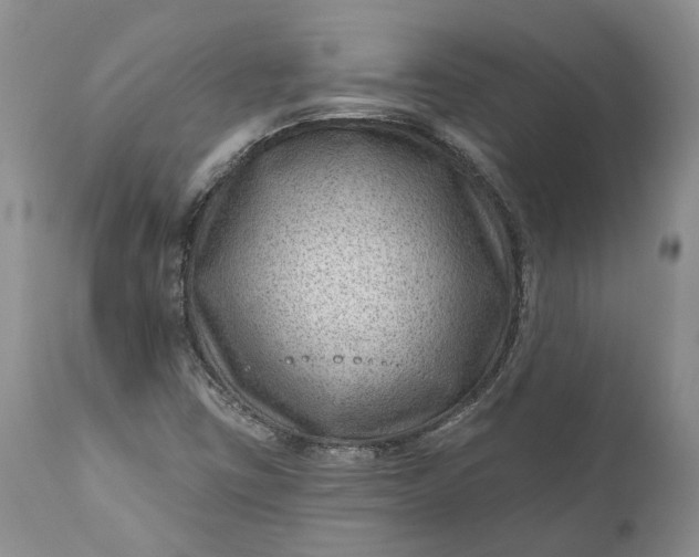 X0000111041403200907091558