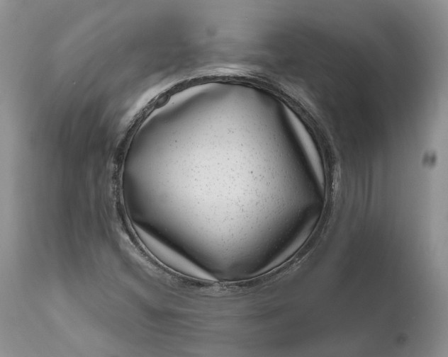 X0000111041404200907091558